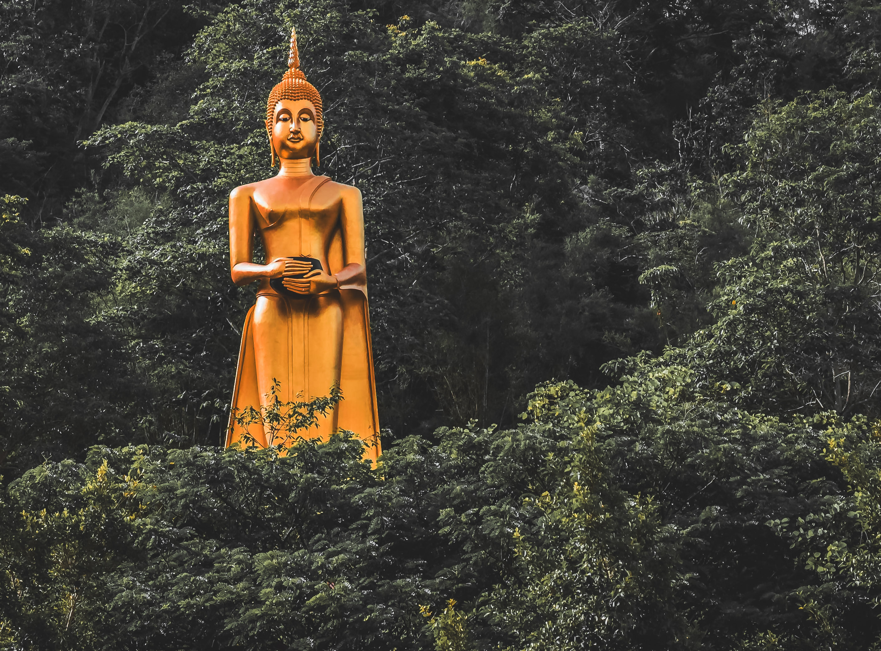 International Careers